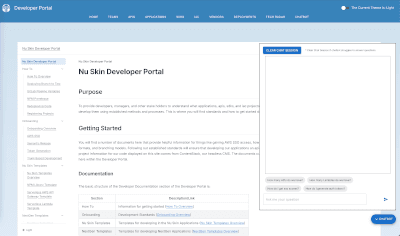 developer portal home